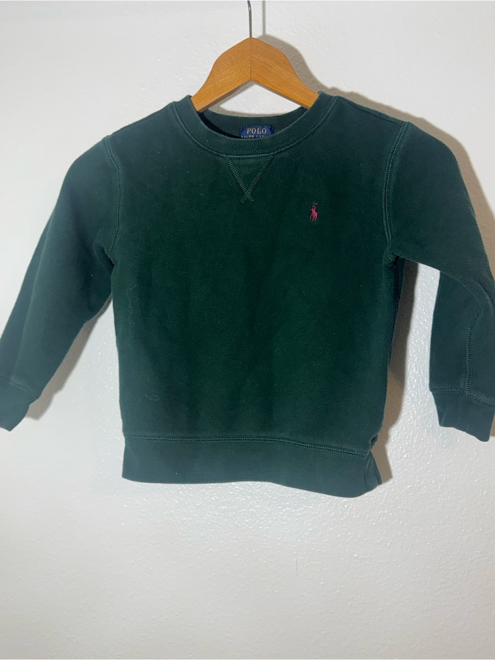 Polo by Ralph Lauren Kids Green Crewneck Sweatshirt